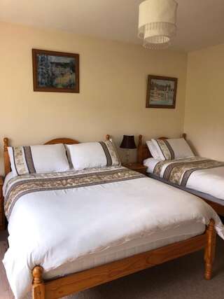 Отели типа «постель и завтрак» Elm Brook B&B Баллишаннон Двухместный номер с 1 кроватью или 2 отдельными кроватями, вид на сад-1